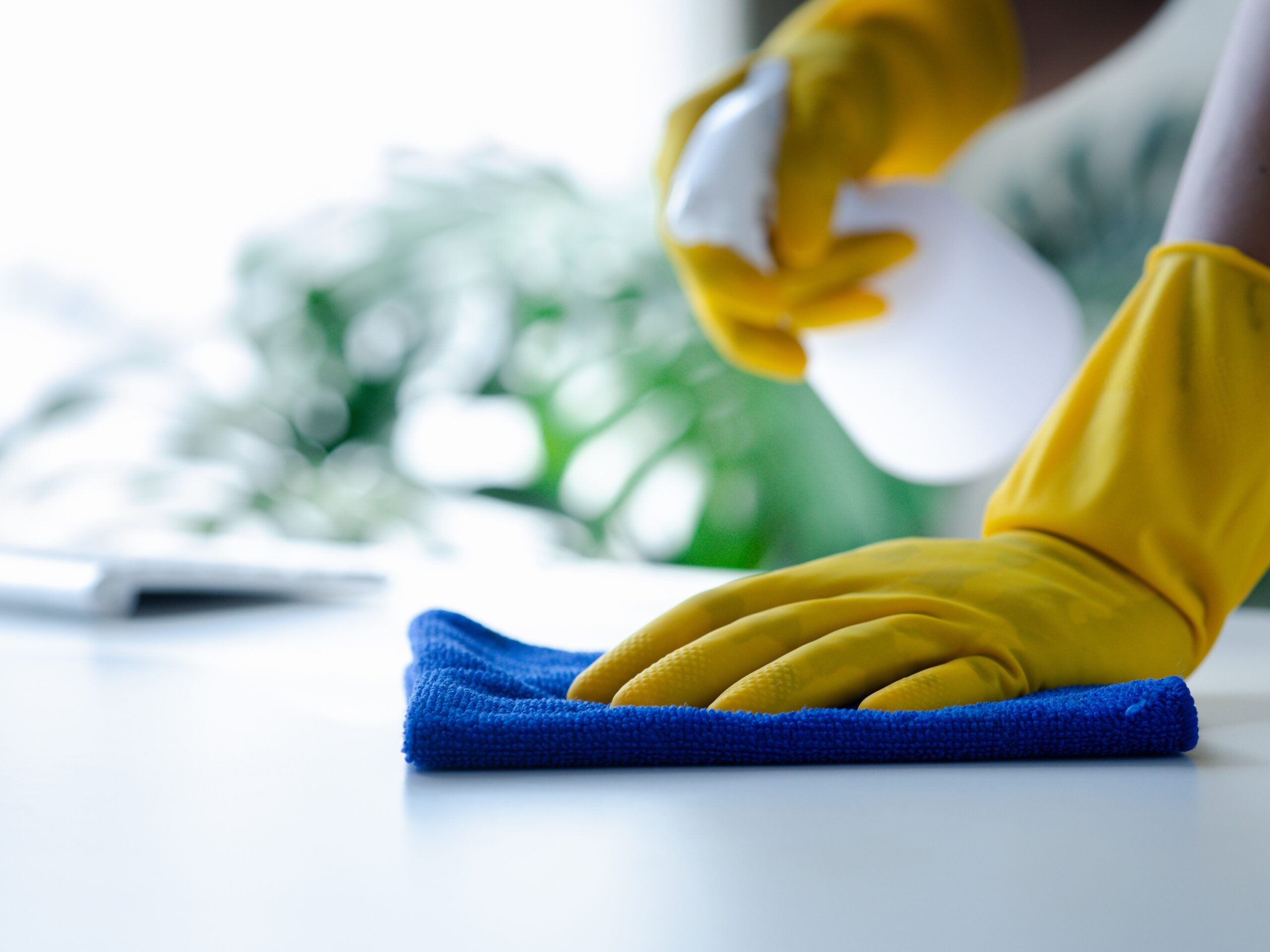 Jemand ist mit gelben Handschuhen und einem blauen Lappen einen Tisch am reinigen. Im Hintergrund ist eine Pflanze zu erkenne.